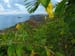 images0018