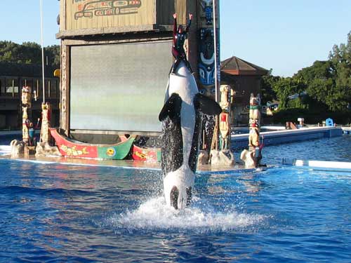 Dancing on the Tail