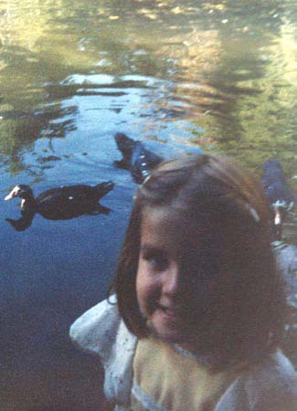 Duck, duck...goose!