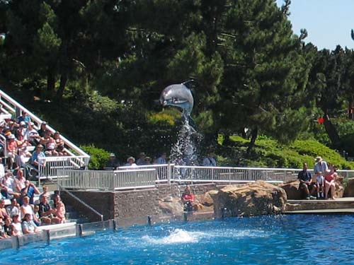 I Love Dolphins